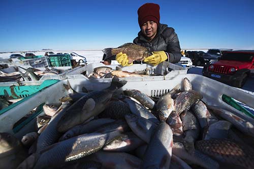 Lago Dalinor, una importante base de producción pesquera de Mongolia Interior