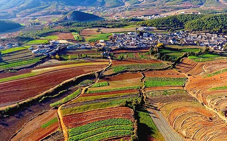 China profundizará reforma de sector agrícola