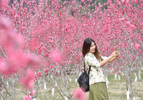 Fujian: Isla de flor de durazno en condado Dehua