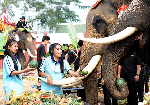 Evento para conmemorar el Día Nacional del Elefante de Tailandia en Ayutthaya