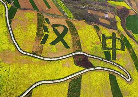 Shaanxi: Vista aérea de tierras de cultivo de coliflores