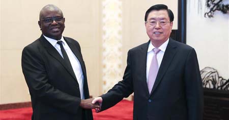 Máximo legislador chino pide fortalecer lazos con Zambia