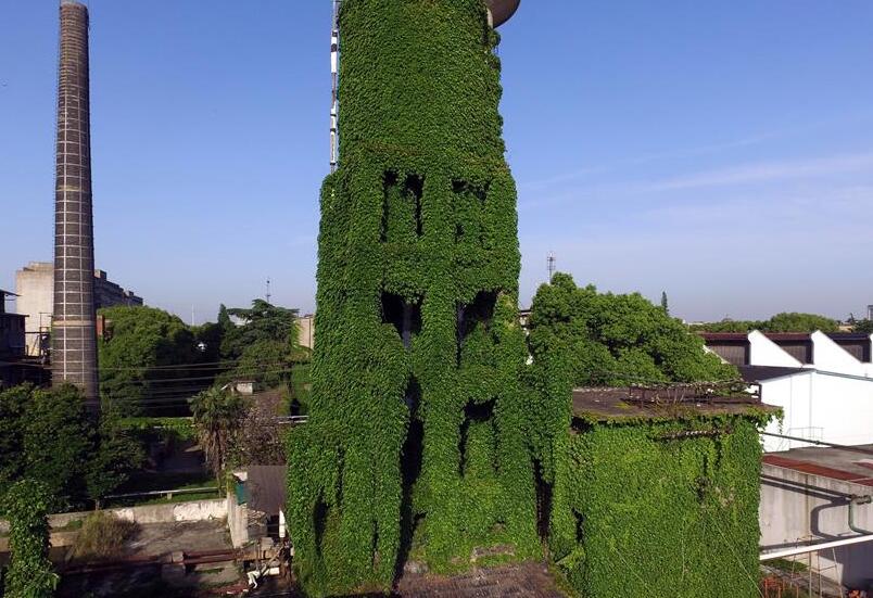 Vista de un edificio cubierto con hiedra de uva en una fábrica en Huzhou