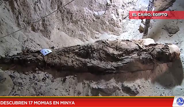 Descubren 17 momias en Minya