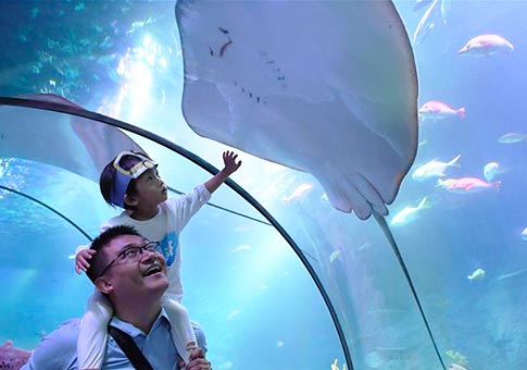 Chongqing: Acuario Sea Life