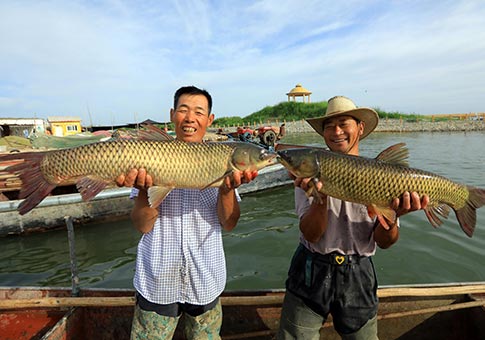 Xinjiang: Capturas de pescadores en un muelle en Lago Bostan
