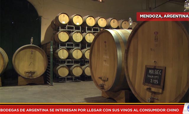 Bodegas de Argentina se interesan por llegar con sus vinos al consumidor chino