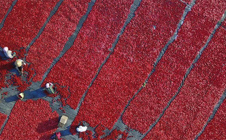 Pobladores secan tomates en Xinjiang