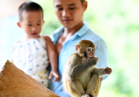 "Madre mono" en Reserva Natural de la Montaña Longhu