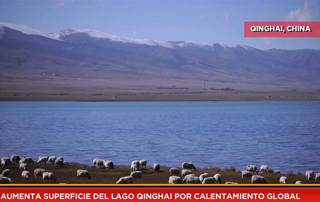 Aumenta superficie del lago Qinghai por calentamiento global