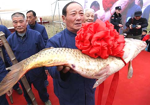 Nanjing celebra Festival de Pesca del Lago Shijiu