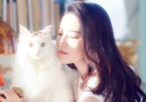 Nuevas imágenes de actriz Liu Yifei con gatos