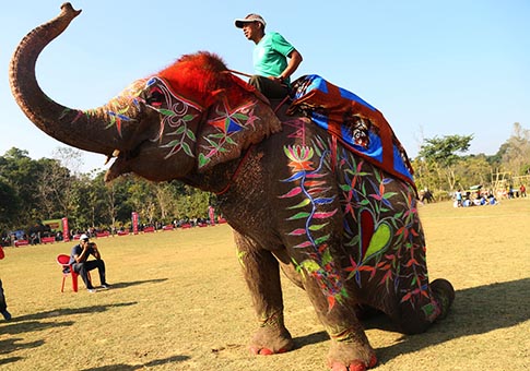 Nepal: 14 Festival del Elefante en Sauraha