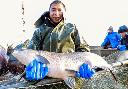 Jiangsu: Pesca de invierno en Xuyi