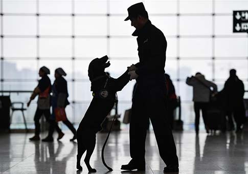Perro policía Wang Zi patrulla en la Estación del Ferrocarril de Chengdu Este