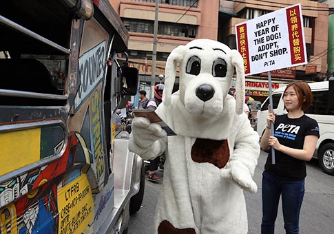 Perro mascota envía mensaje a filipinos para que adopten perros en vez de comprarlos