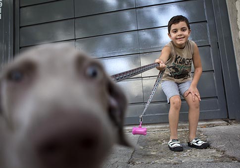 66% de habitantes argentinos tienen perro como mascota