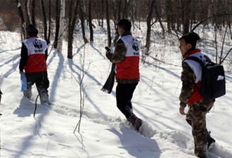 Concurso de habilidades de conservación del tigre siberiano, en Heilongjiang