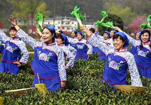 Espectáculo de danza sobre la cultura del té en un jardin de té en Shannxi