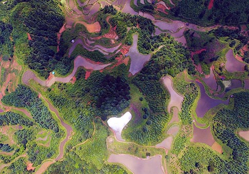 Guangxi: Vista aérea de campos de terrazas en municipio de Gandong