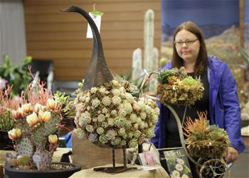 Exposición de plantas del desierto en Vancouver