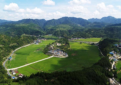 Campo de arroz de condado de Cengong, Guizhou