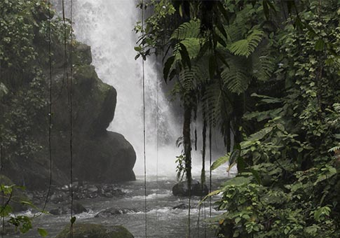 Costa Rica: Parque Nacional Braulio Carrillo en Heredia