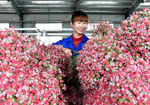 Flores artificiales ayudan a residentes a librarse de pobreza en condado de Longde, Ningxia