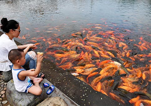 Fujian: Peces del Río Tongshanxi en Fuding