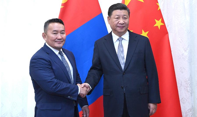 Xi se encuentra con el presidente de Mongolia para fortalecer relaciones bilaterales