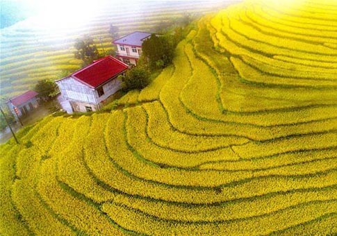 Shaanxi: Vista aérea de los campos de terraza