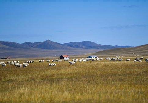 Vista del paisaje de la pradera de Ulgai en Xilingol