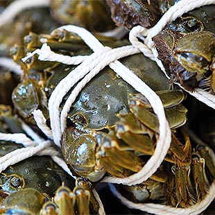 Cangrejos de del Lago Yangcheng: Un buen sabor y muchos nutrientes