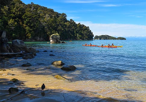 Nueva Zelanda: Parque Nacional Abel Tasman