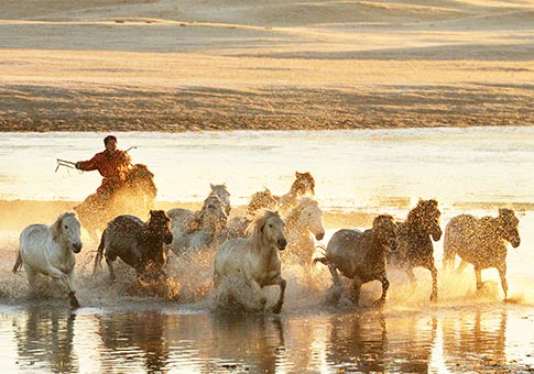 Mongolia Interior: Caballos en pradera de Ulanbutong de Chifeng