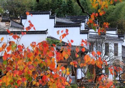 Paisaje de otoño en China