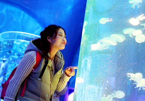 Shanghai: Parque Oceánico Haichang abre al público