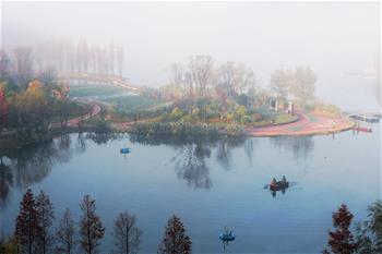 Vista de un parque cubierto por niebla en el distrito de Guanshanhu