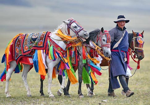 Los caballos han regresado a la vida de los tibetanos
