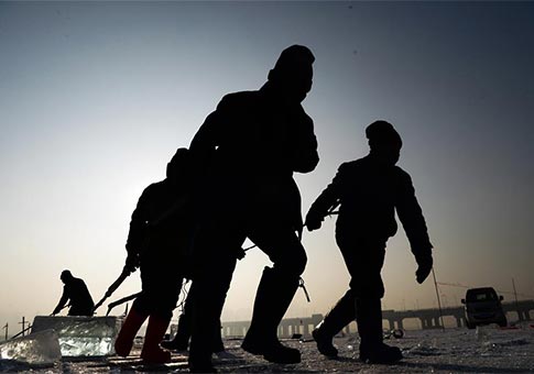 Trabajadores recolectan hielo del Río Songhua en Harbin