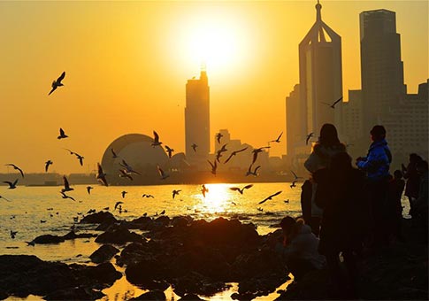 Turistas observan gaviotas volando cerca del icónico Puente de Zhanqiao en Qingdao