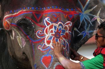 Concurso de belleza durante el 15 Festival del Elefante en Sauraha