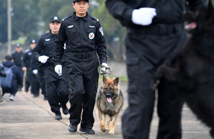 Policías de tren participan en un simulacro con perros policía en preparación del Festival de Primavera en Nanning