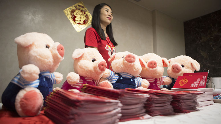 ESPECIAL: Argentina se prepara para celebrar llegada del Año Nuevo Chino del Cerdo