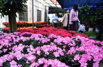 Mercado de flores en Haikou, Hainan