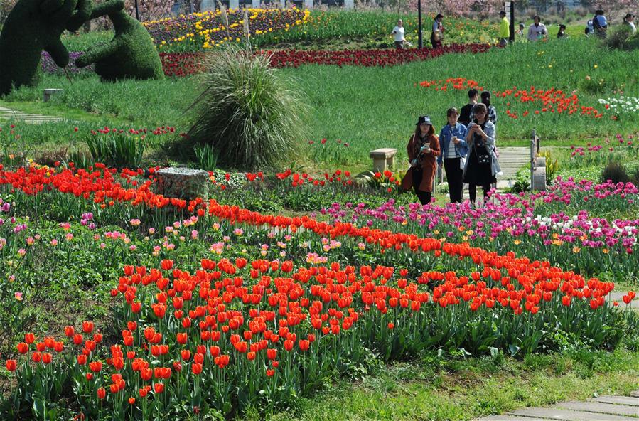 Desarrollo rural de Zhejiang