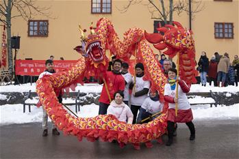 Celebración del Año Nuevo chino en Estocolmo