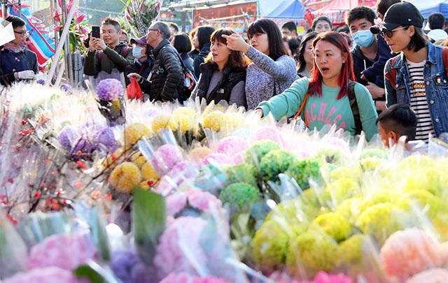 Feria de flores, evento importante para festejar el Año Nuevo Lunar en sur de China