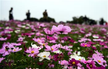 Las flores de Gesang en Qinzhou