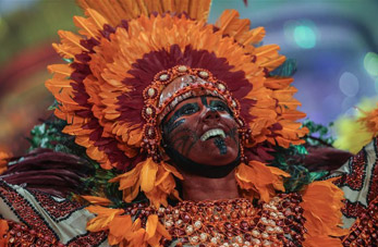 Desfile de carnaval en Sao Paulo, Brasil